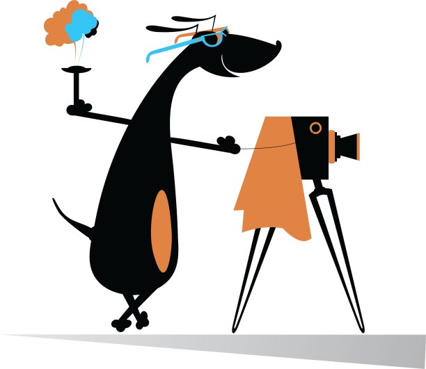 狗一个摄影师图片下载