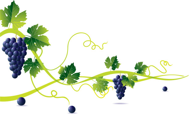 葡萄来了图片下载