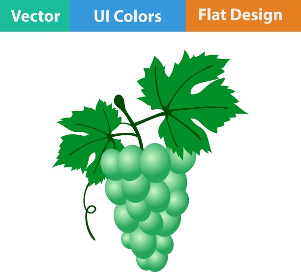 葡萄的平面设计图标图片下载