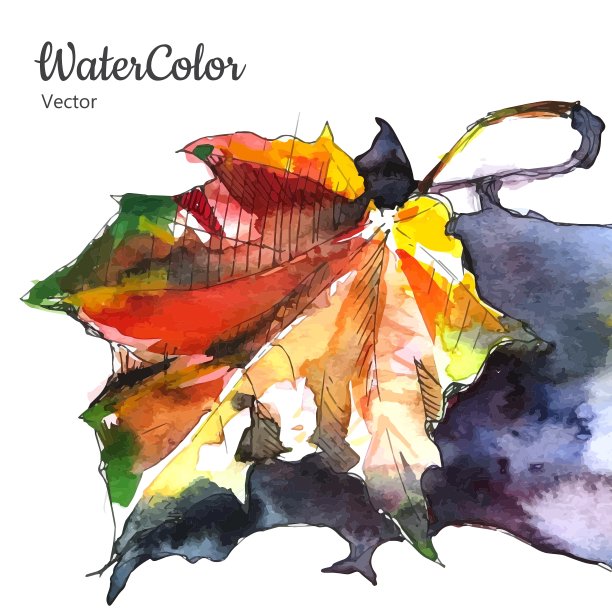 手绘水彩秋叶图片下载