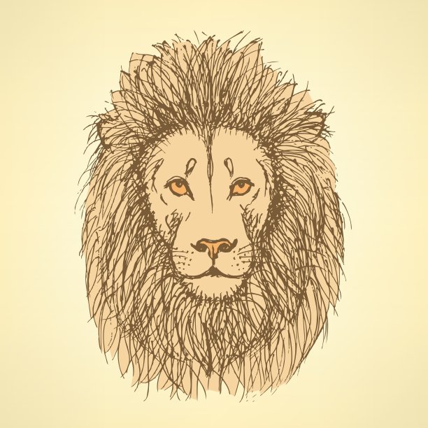 素描可爱的狮子在复古风格图片下载