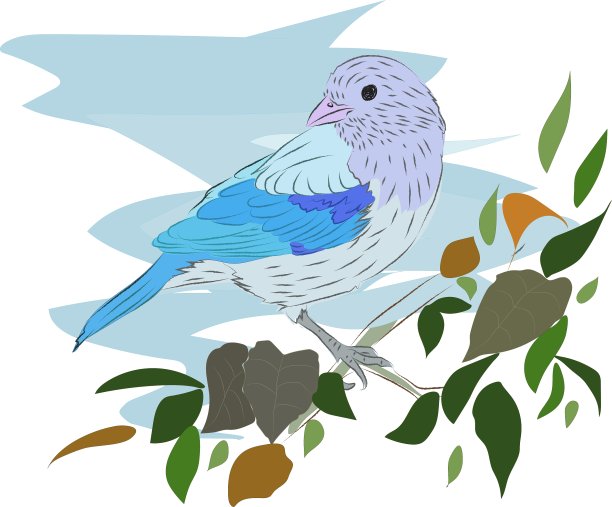 树枝上的小鸟图片下载