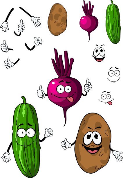 黄瓜、土豆和甜菜类蔬菜图片下载