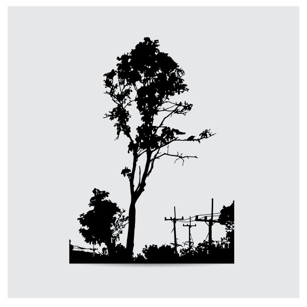 树的轮廓图片下载