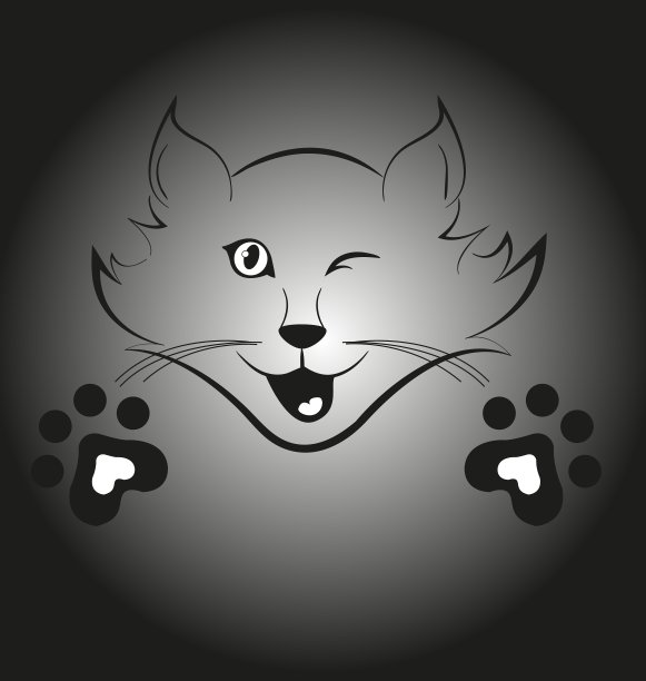 闪烁的猫图片下载