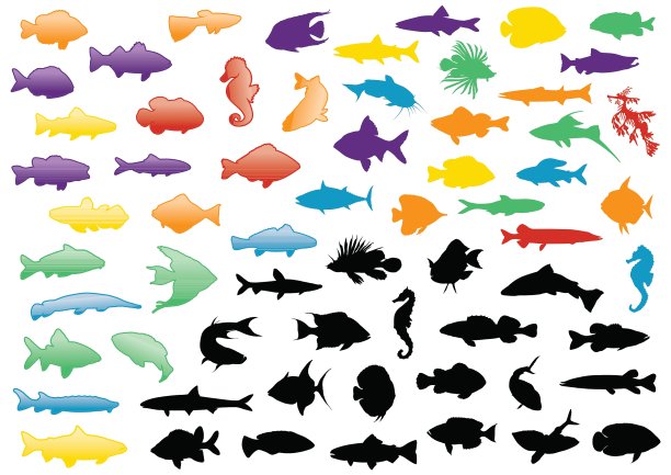鱼的轮廓集图片下载