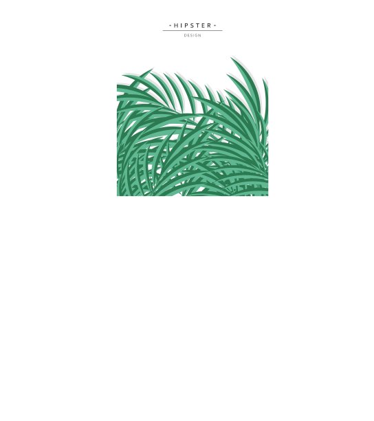 以绿色棕榈叶为设计背景的异国情调图片下载