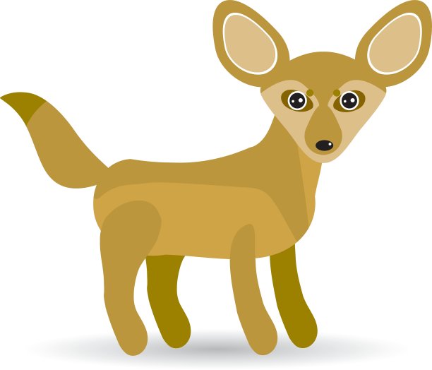 有趣的耳廓狐狸可爱的白色背景图片下载