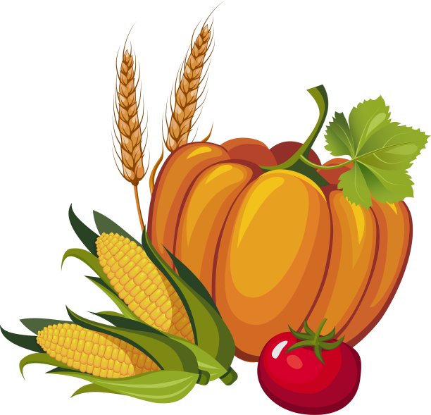 收获南瓜茎和番茄图片下载