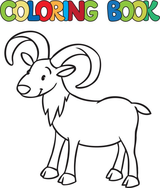 有趣的小尿轮或公羊图片下载