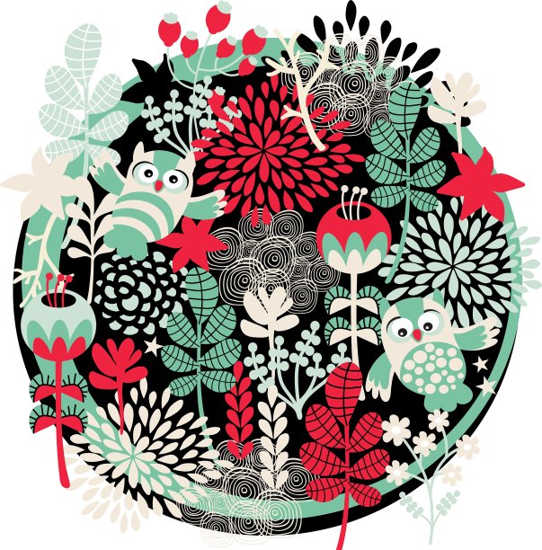 猫头鹰，花和其他自然图片下载