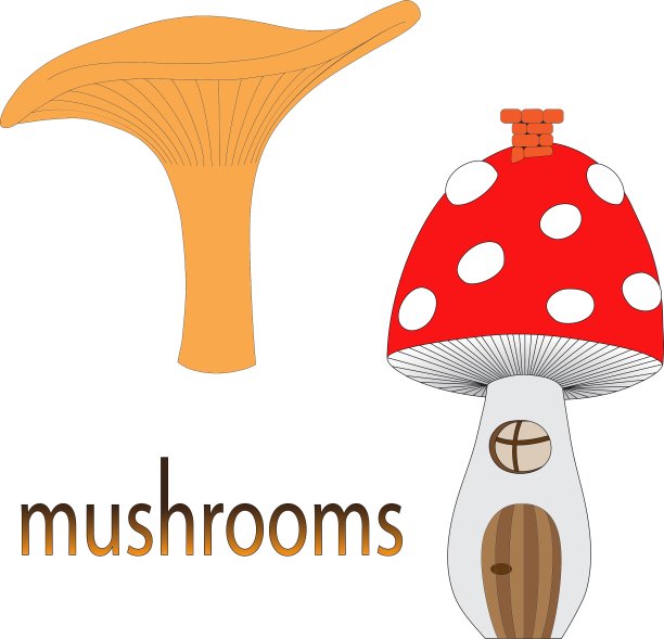 一组蘑菇孤立在白色背景图片下载