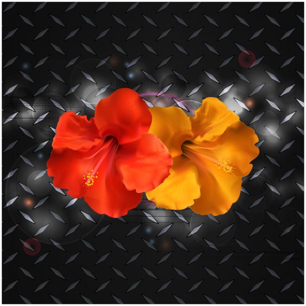 木槿在金属钻石板上图片下载