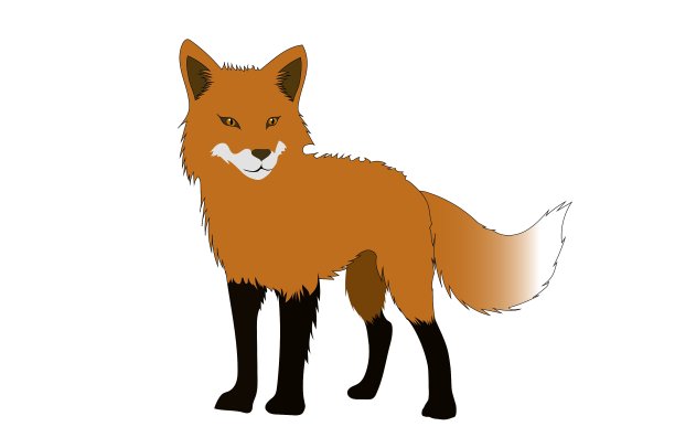 红狐狸被孤立在白色的背景上，独自站着图片下载