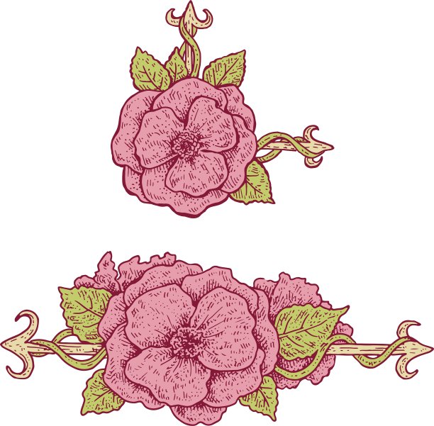 漂亮的手绘复古风格设计元素图片下载