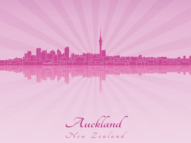 奥克兰的天际线在紫色的光芒兰花图片下载