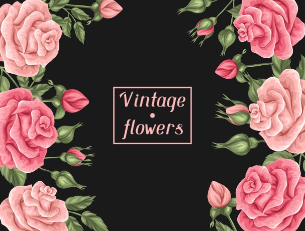 背景与复古玫瑰装饰复古图片下载