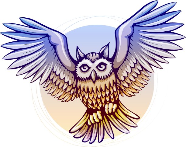 会飞的彩色卡通猫头鹰图片下载