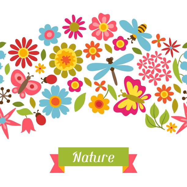 自然图案与美丽的花甲虫图片下载