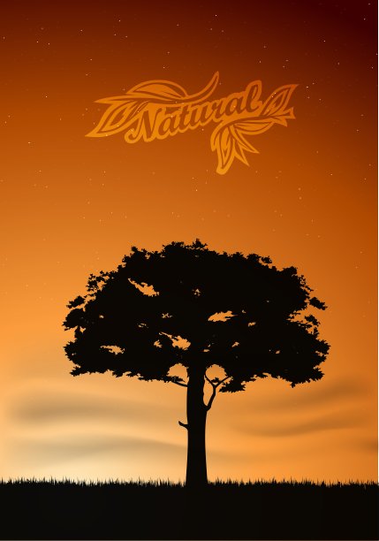 对生态树的背景概念进行了阐述图片下载