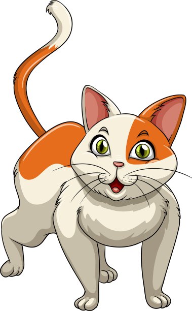 可爱的小猫独自站着图片下载