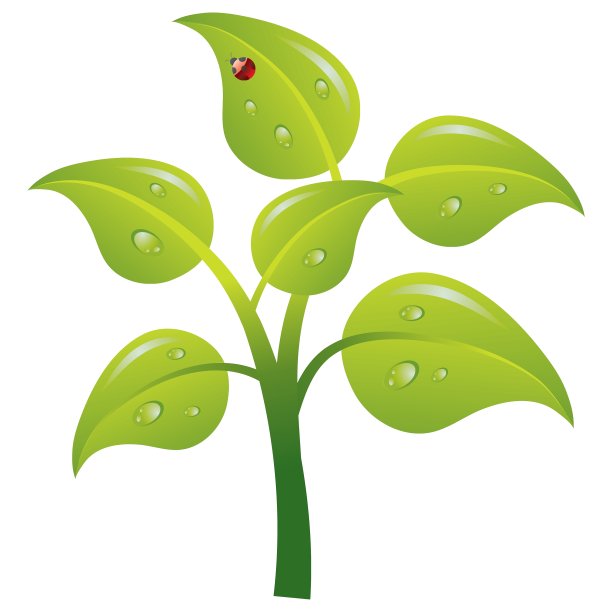 树形象图片下载