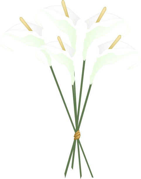 白掌花束或火烈鸟花束图片下载