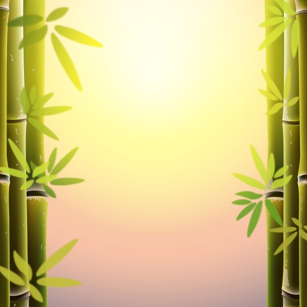 竹林和树叶在日落的时候图片下载