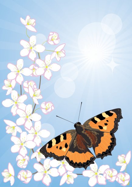 樱花和蝴蝶图片下载