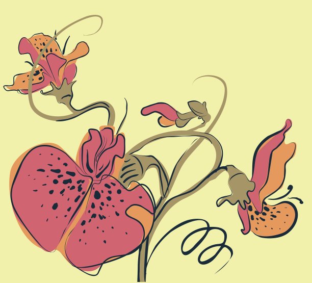 豌豆花图片下载