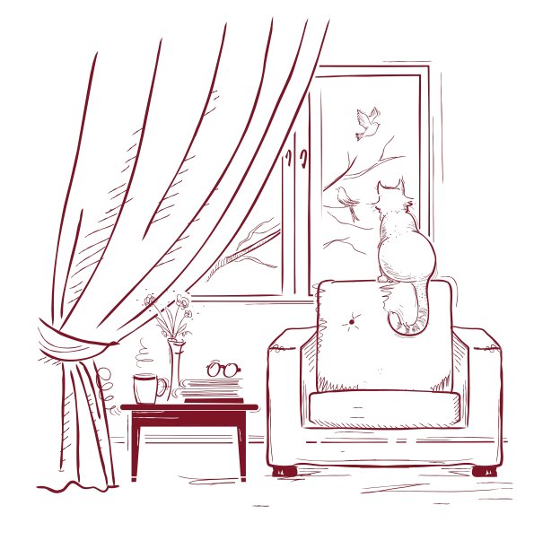 猫在窗户附近看鸟室内房间图片下载