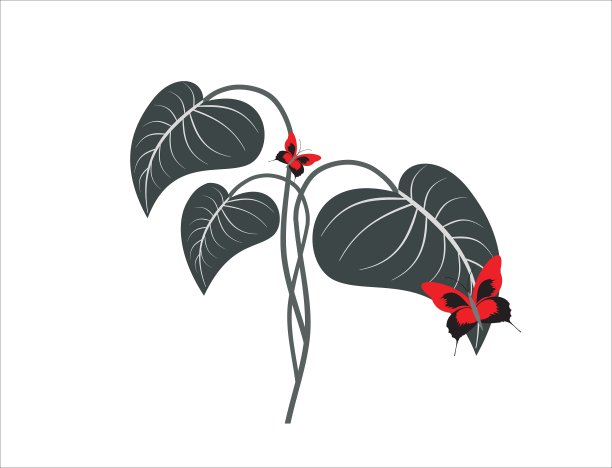 花的背景图片下载