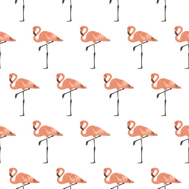 火烈鸟无缝图案背景图片下载