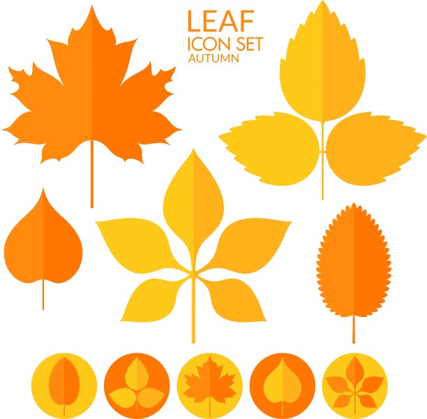 叶图标设置图片下载