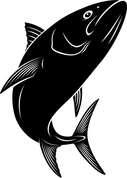 金枪鱼图片下载