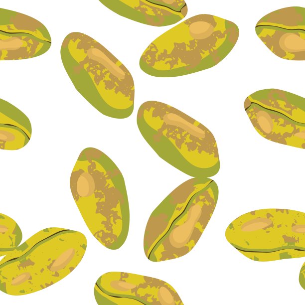 阿月浑子图片下载