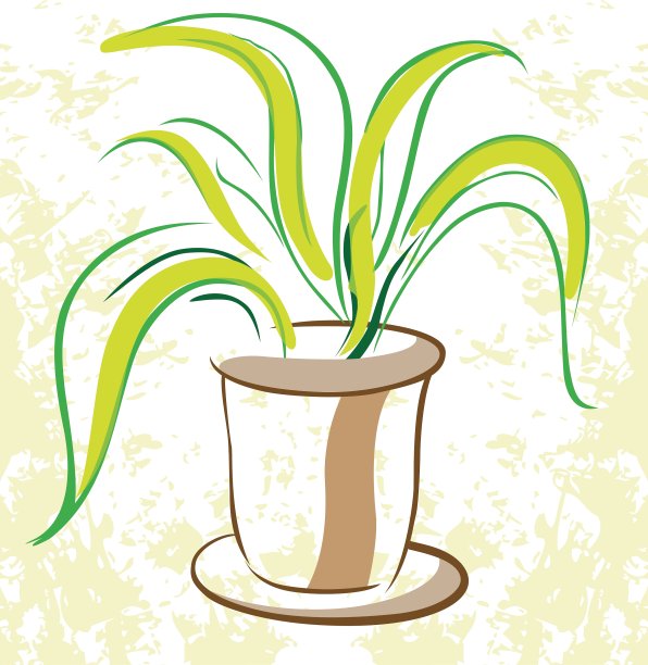 植物在花盆图片下载