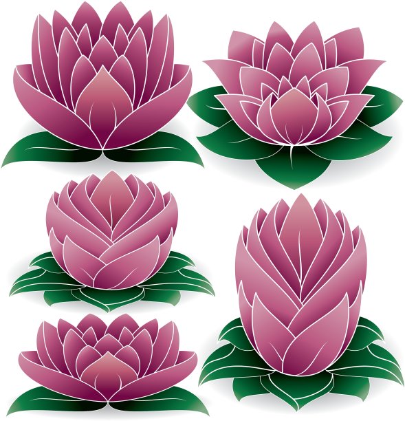 莲花集图片下载