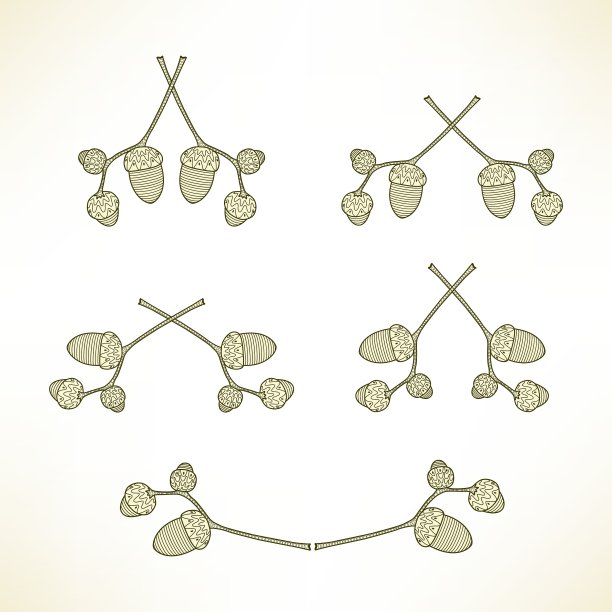 一套标志的树枝与橡子图片下载