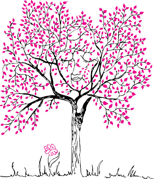 树在其中可以看到脸图片下载