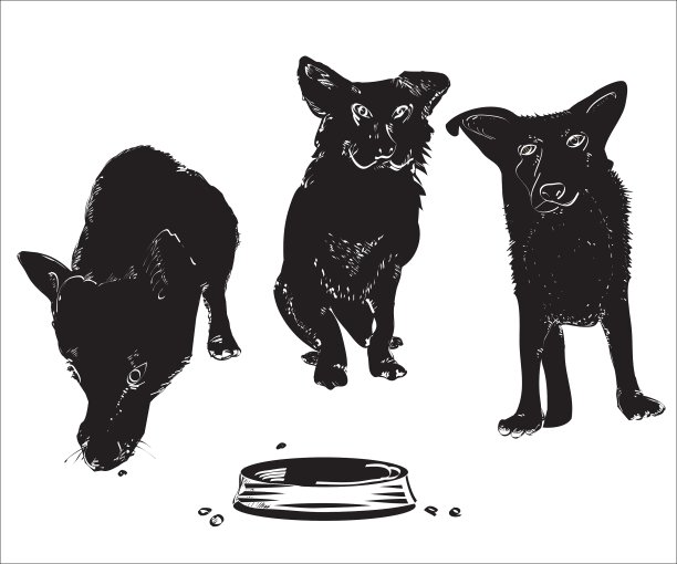 碗旁的狗图片下载