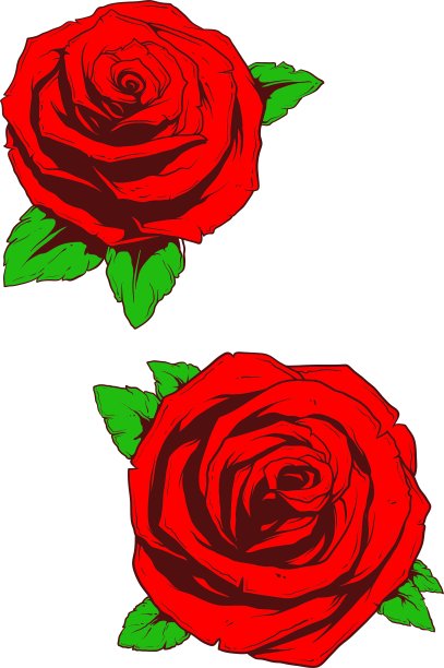 红玫瑰图片下载