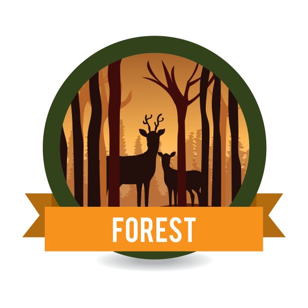 森林自然公园及景观图片下载