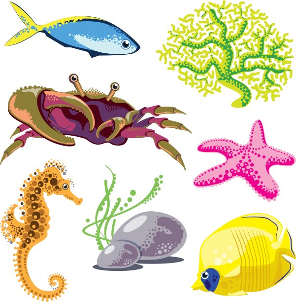 海洋动物组图片下载