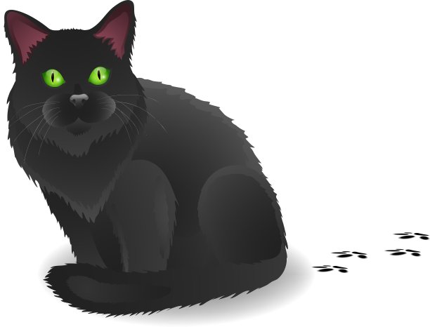 有脚步声的黑猫图片下载