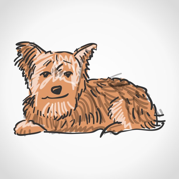 约克郡犬坐图片下载