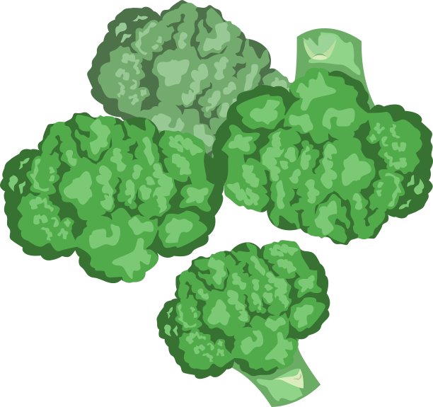 西兰花健康lifestile图片下载