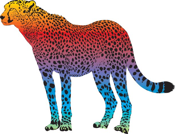 猎豹抽象的彩虹图片下载