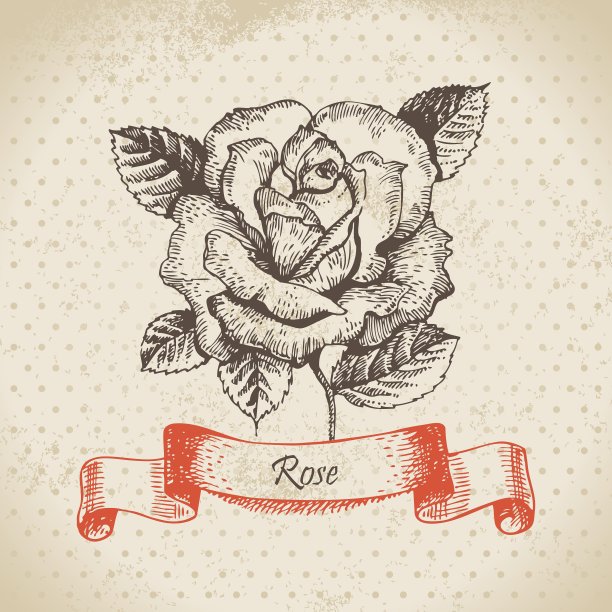 玫瑰手绘复古设计图片下载
