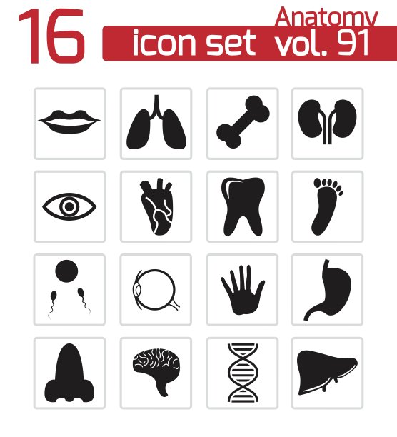 图标模式图片下载